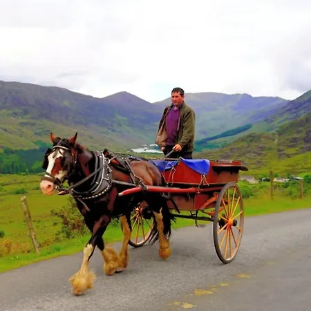 Nellie's Village Ferienhaus