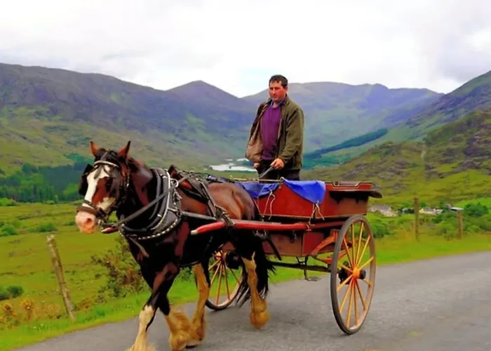 Nellie's Village 度假居